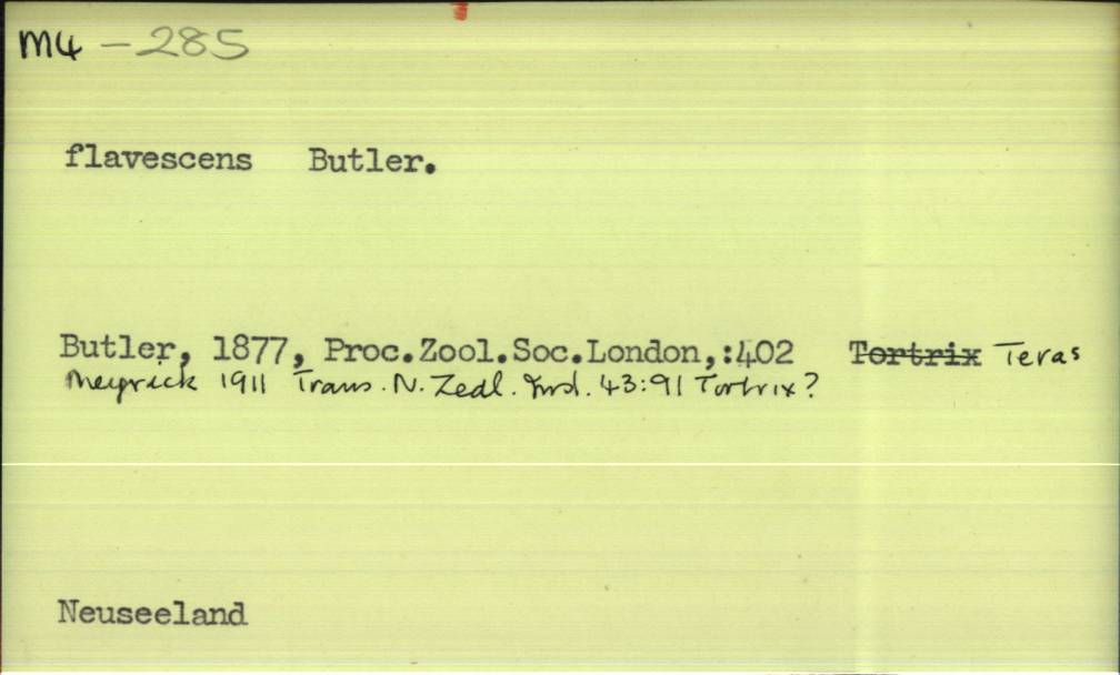 front of card